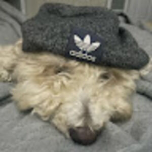 Meet your Posher, Jorge